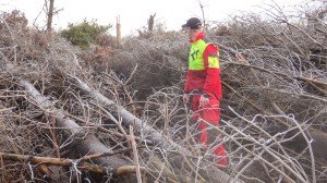 Oosterbos-Nero-Jan-05570